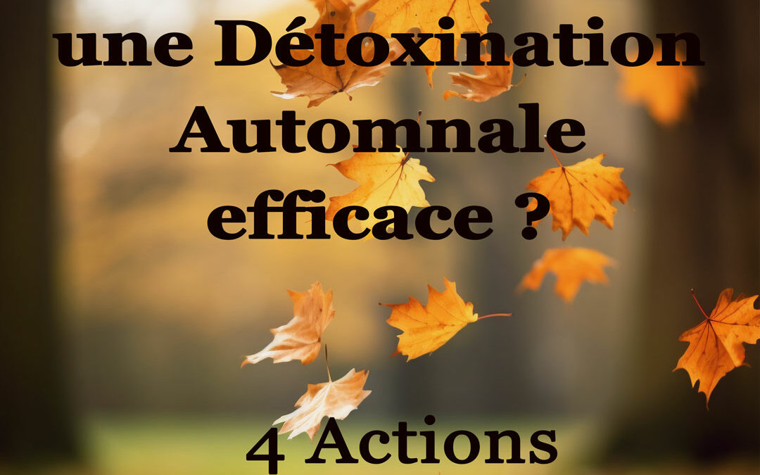 Comment faire une Détoxination Automnale efficace ?